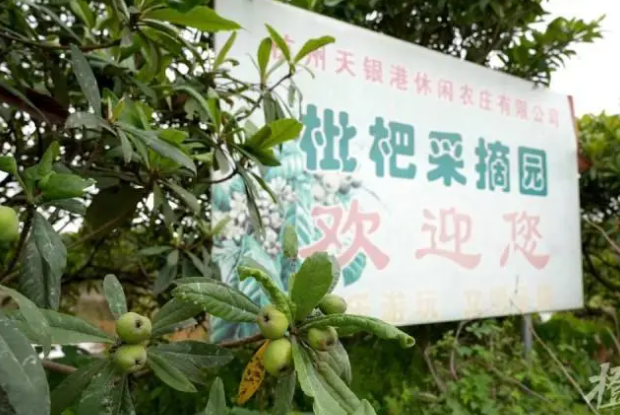 杭州天银港休闲农庄有限公司